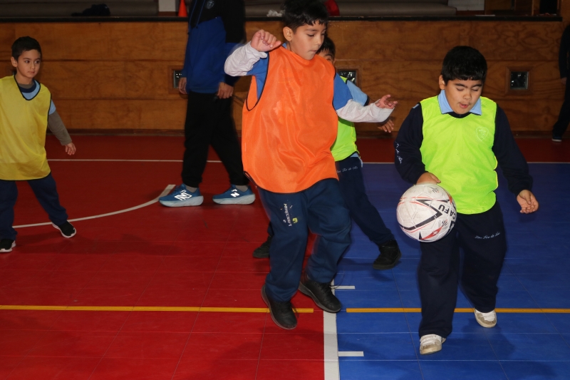 Día de la Actividad Física